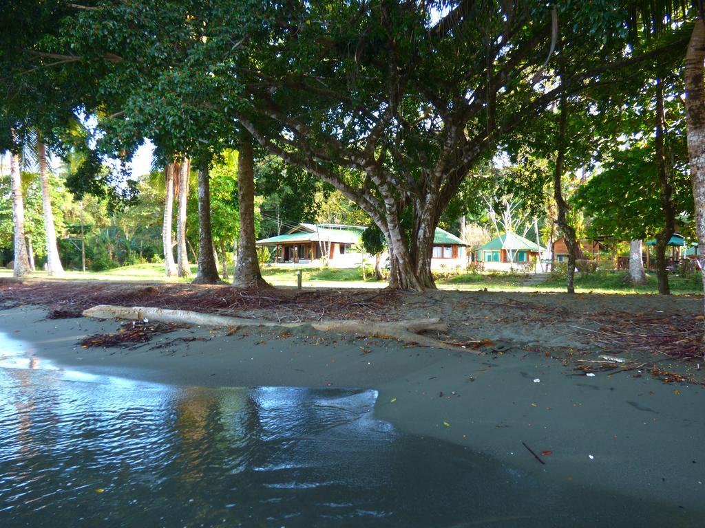 Corcovado Beach Lodge Puerto Jiménez 외부 사진