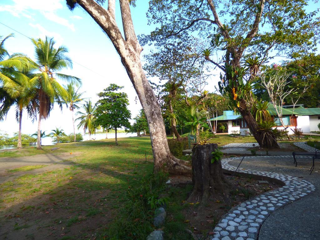 Corcovado Beach Lodge Puerto Jiménez 외부 사진