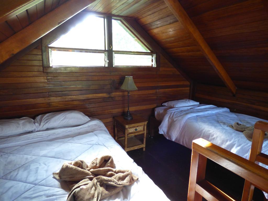 Corcovado Beach Lodge Puerto Jiménez 객실 사진