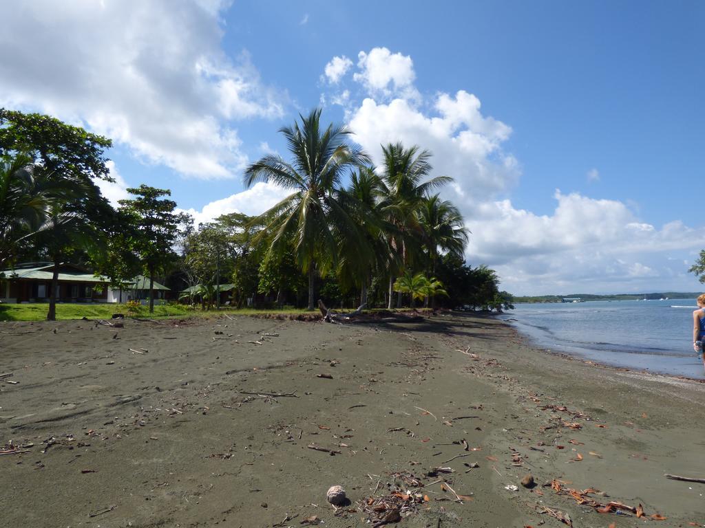 Corcovado Beach Lodge Puerto Jiménez 외부 사진