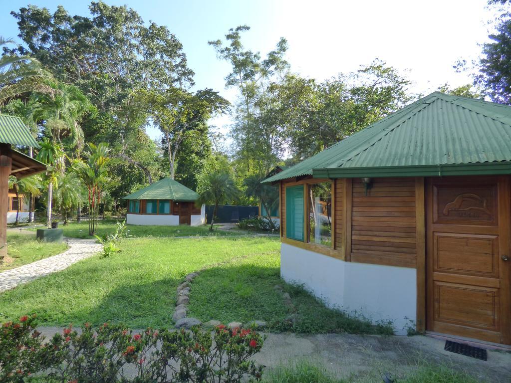 Corcovado Beach Lodge Puerto Jiménez 외부 사진