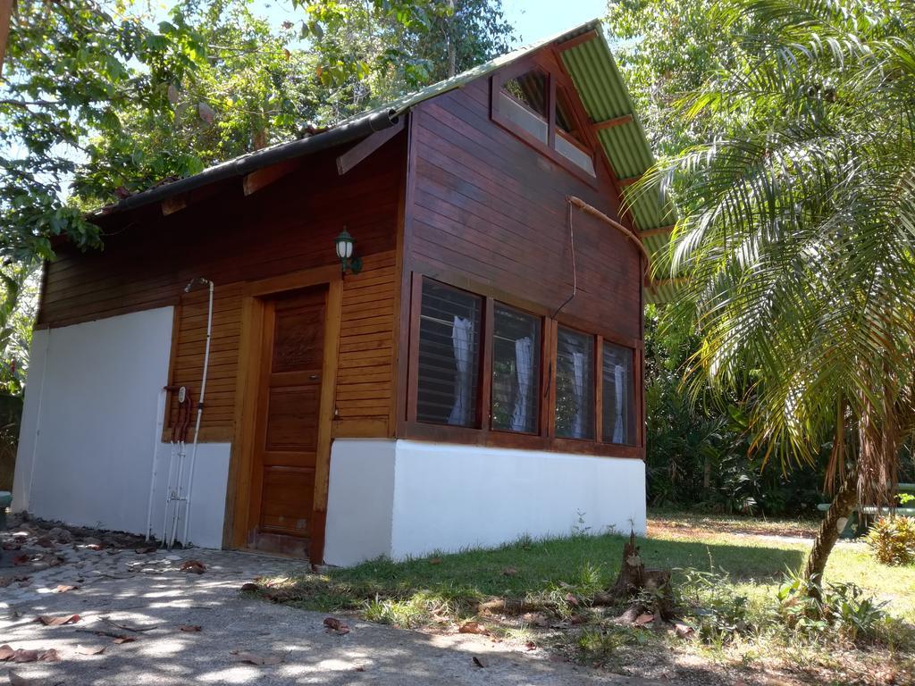 Corcovado Beach Lodge Puerto Jiménez 외부 사진
