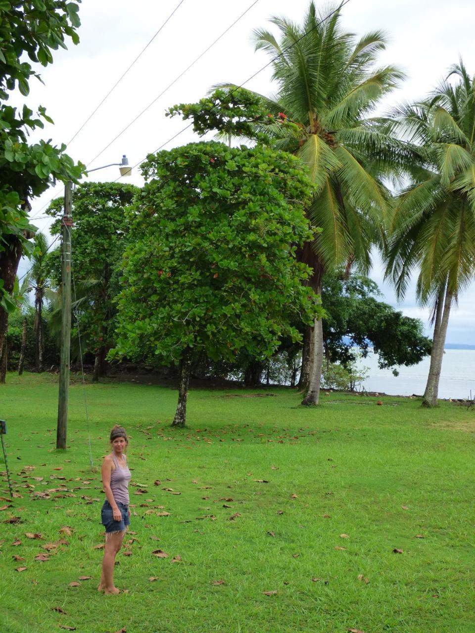Corcovado Beach Lodge Puerto Jiménez 외부 사진